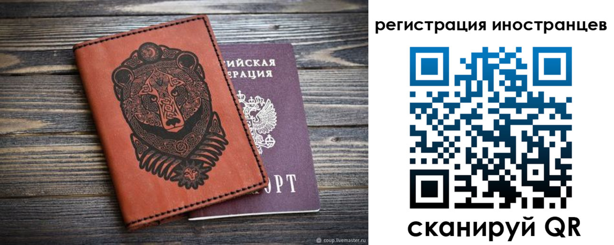 регистрация в Ярославской области